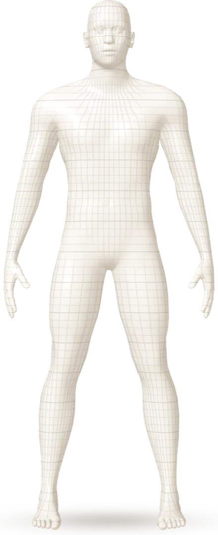 Reference body model
